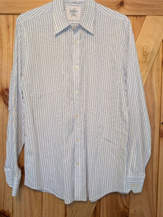 Express Other - Express Blue Striped Button-Down Shirt Size L